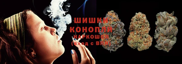 прущие грибы Аркадак