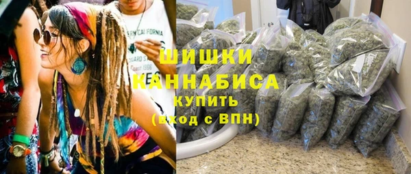 прущие грибы Аркадак