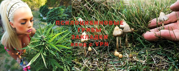 2c-b Арсеньев