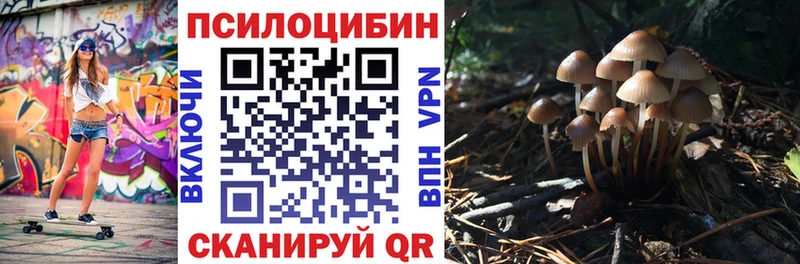 blacksprut   купить   Любань  Псилоцибиновые грибы прущие грибы 